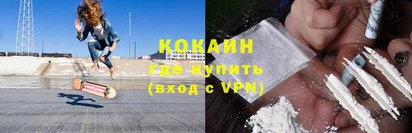 ECSTASY Бородино