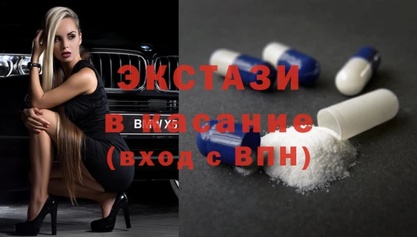 ECSTASY Бородино