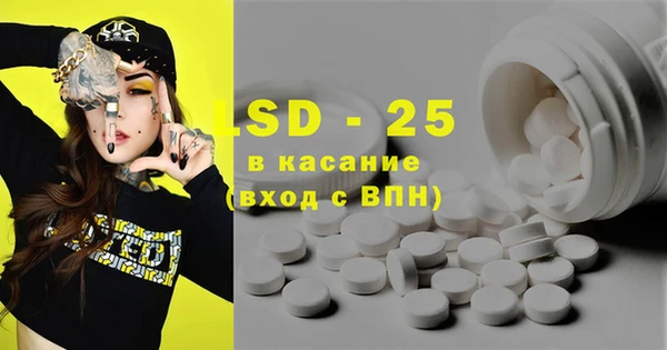ECSTASY Бородино