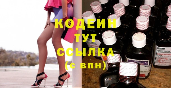 ECSTASY Бородино